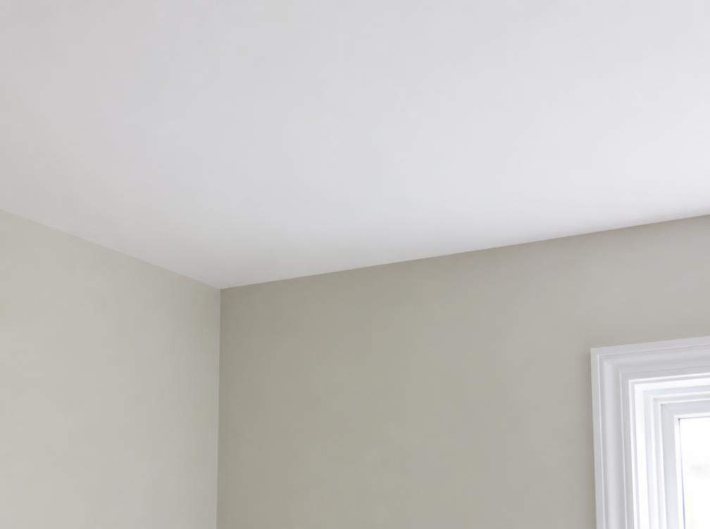 The same Auckland ceiling after water damage repair, re-stopped and repainted with no visible patch